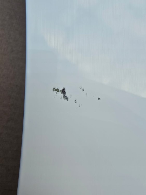 DRZWI LEWE PRZEDNIE VW ID BUZZ ID.BUZZ 1T3831311 C BIAŁY LB9A