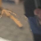 e0b595c9 fbb7 4c9d bba1 7faf5ba6e582 1.jpeg